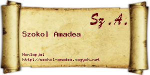 Szokol Amadea névjegykártya